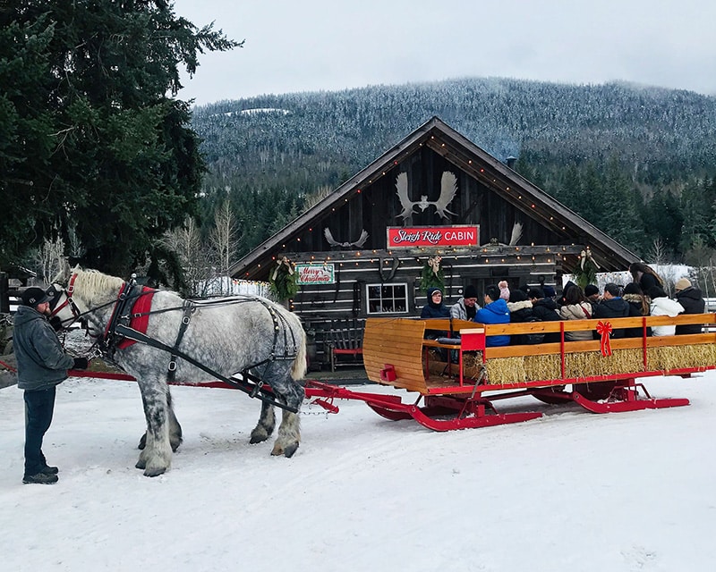 https://www.discovercanadatours.com/wp-content/uploads/2022/05/©DCT-SleighRide-RockiesWinter.jpg