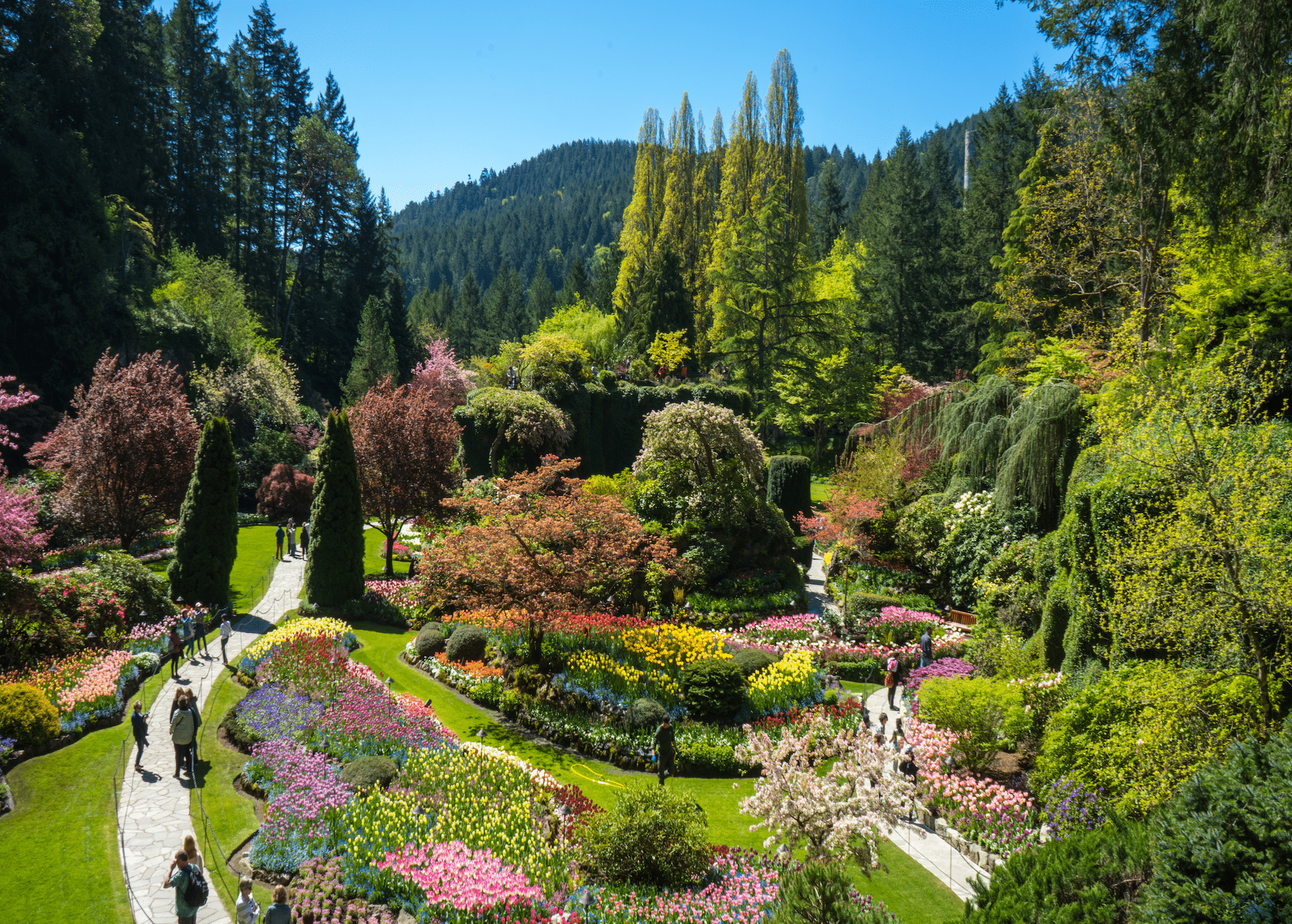 https://www.discovercanadatours.com/wp-content/uploads/2022/06/Butchart-Sunken-Gardens.png