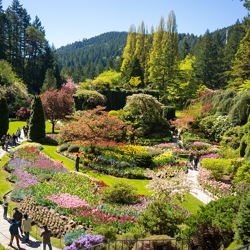 https://www.discovercanadatours.com/wp-content/uploads/2022/06/LisanneSmeele-ButchartGardens-7.jpg