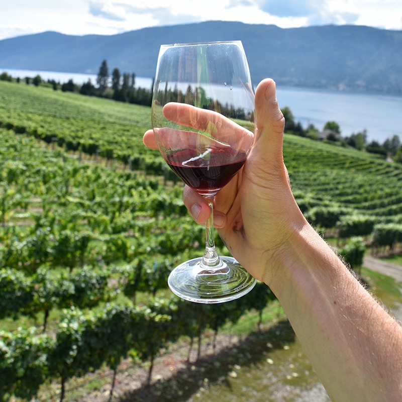 https://www.discovercanadatours.com/wp-content/uploads/2022/06/WineTasting_OkanaganValley3.jpg