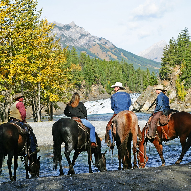 https://www.discovercanadatours.com/wp-content/uploads/2022/06/o06-012160-High-Res-JPG.jpg