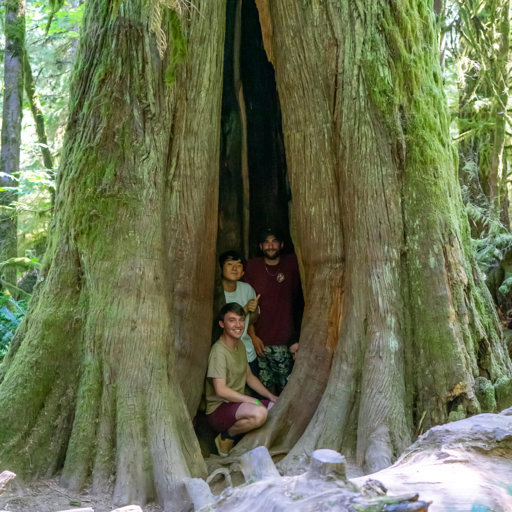 https://www.discovercanadatours.com/wp-content/uploads/2022/06/©Lisanne_Smeele_Tofino_August13th-64-scaled-e1657146462262.jpg