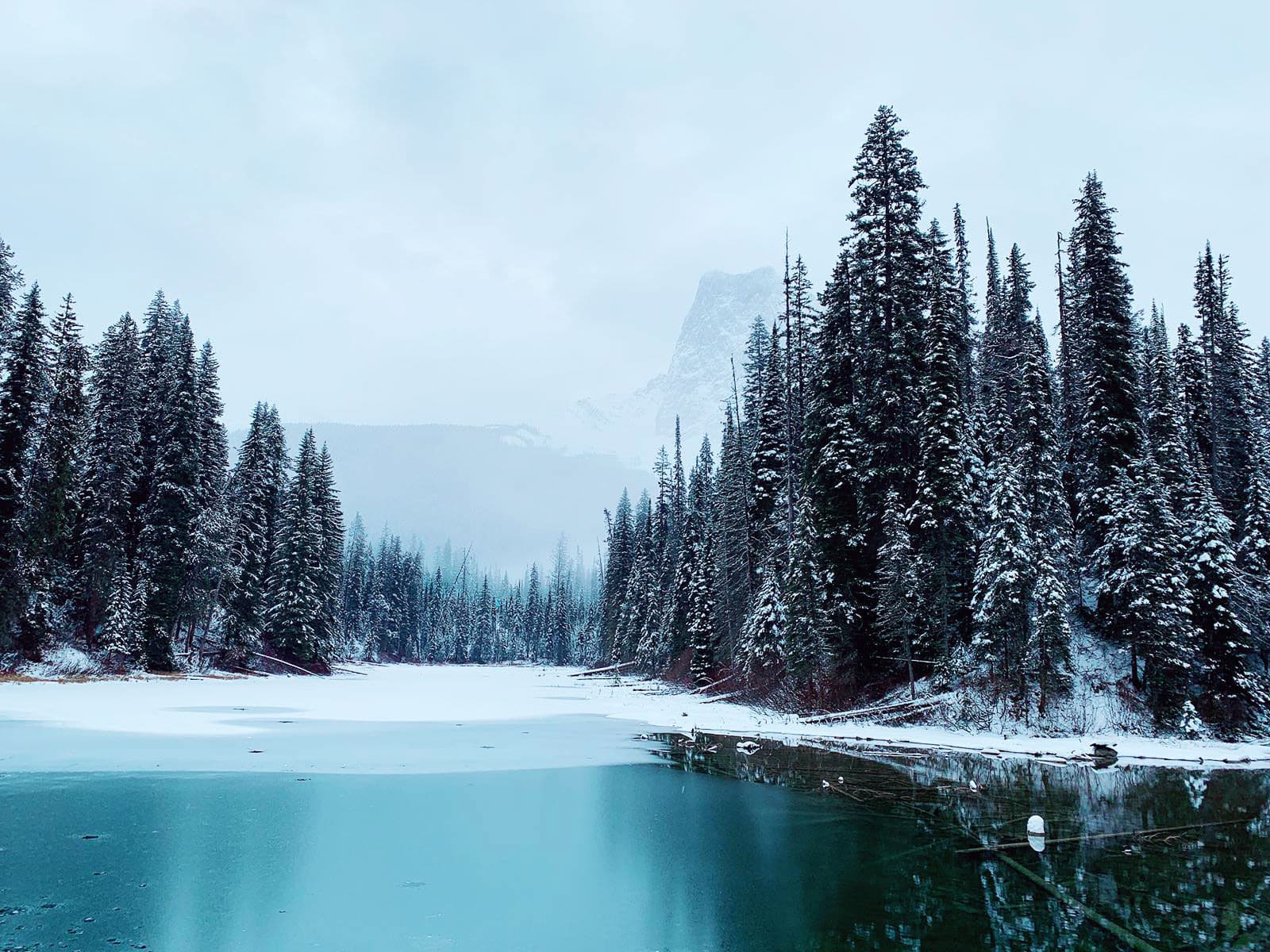 https://www.discovercanadatours.com/wp-content/uploads/2022/07/49128617741_745c79e772_o.jpg