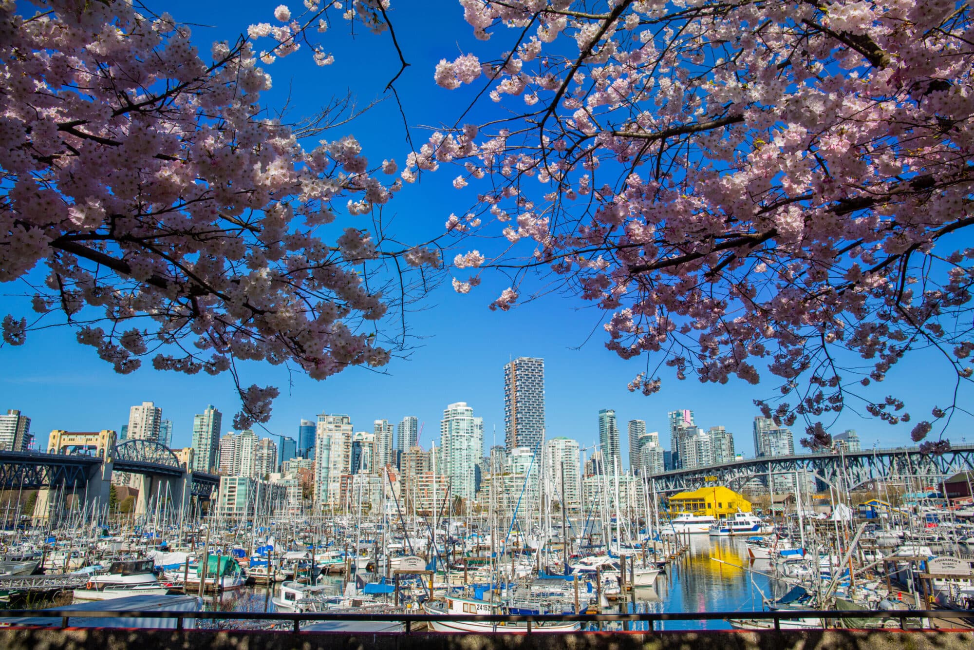 https://www.discovercanadatours.com/wp-content/uploads/2022/07/InnerHarbor_DestinationVancouver_VisionEventPhotographyInc2-scaled-e1657738517160.jpg