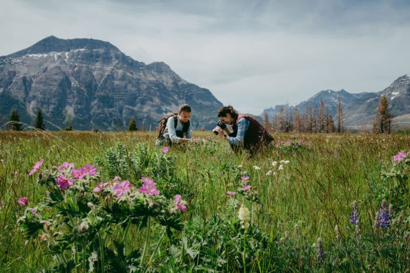 https://www.discovercanadatours.com/wp-content/uploads/2022/07/Waterton_DestinationTravelAlberta11-scaled-e1657052449937.jpg