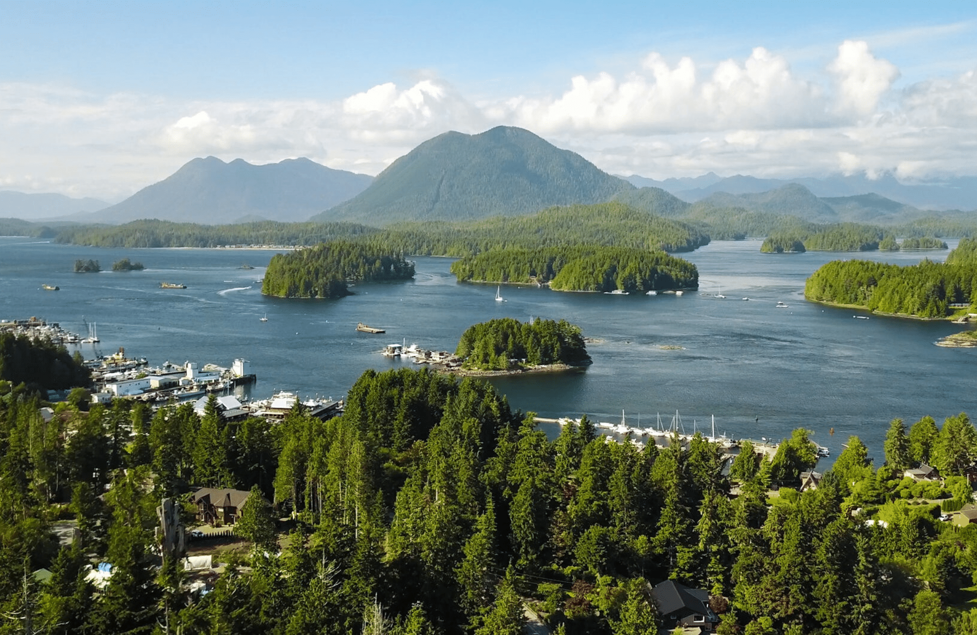 boat tours tofino