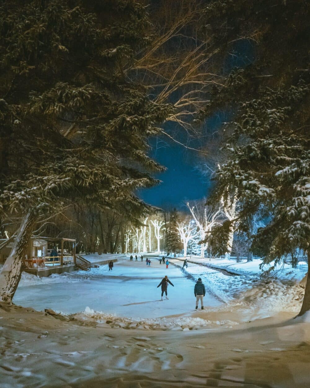 https://www.discovercanadatours.com/wp-content/uploads/2022/07/ahmed-zalabany-yEaKYx02pqc-unsplash-scaled-e1659049375627.jpg