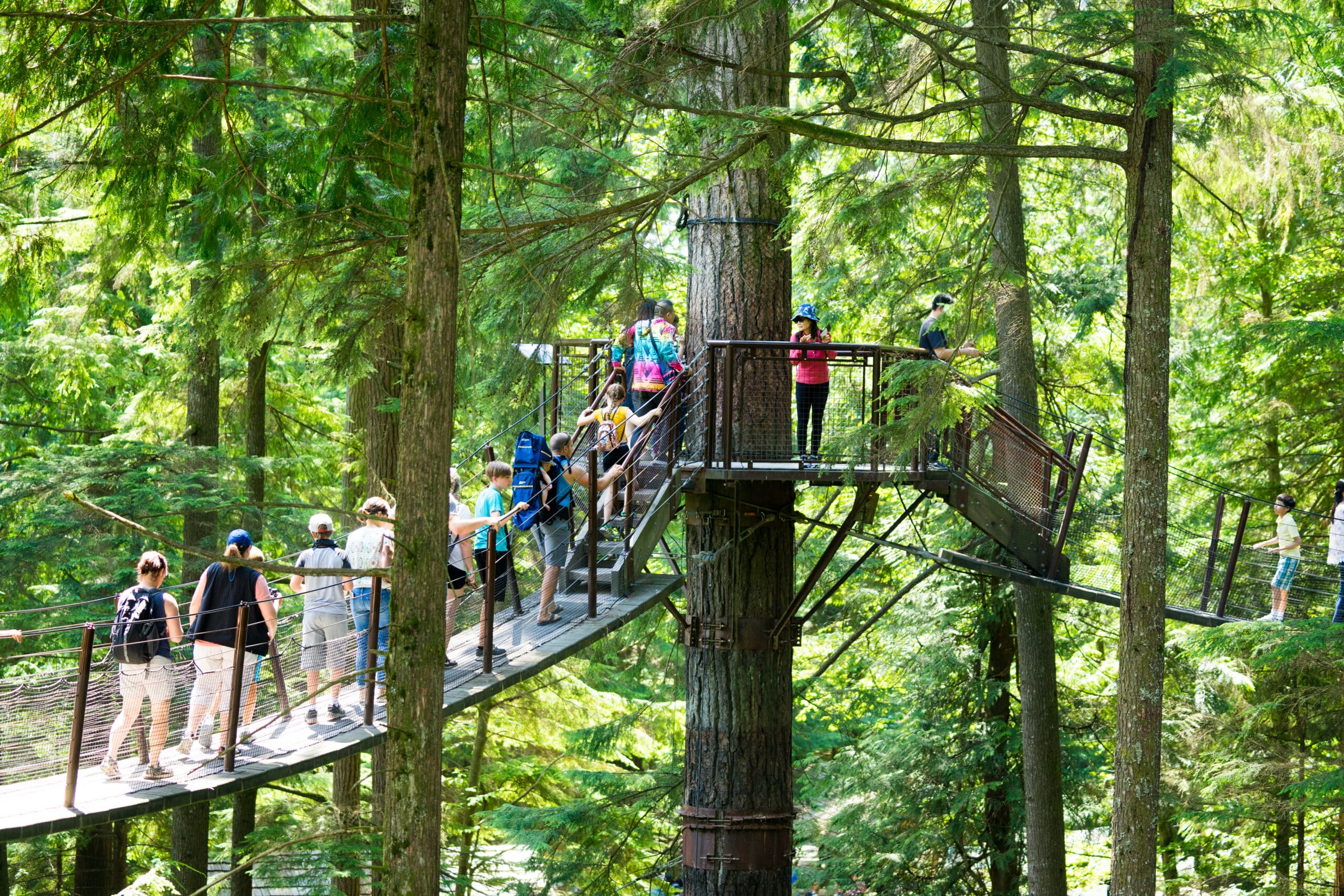 https://www.discovercanadatours.com/wp-content/uploads/2022/07/©LisanneSmeele-CapilanoSuspensionBridge-4-scaled.jpg