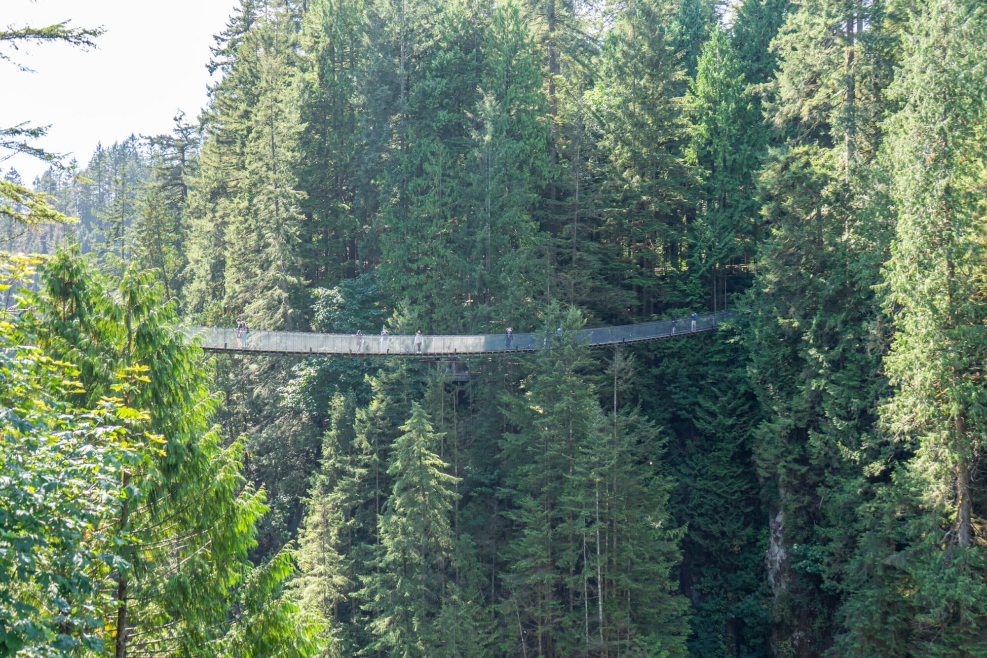https://www.discovercanadatours.com/wp-content/uploads/2022/07/©Lisanne_Smeele_Capilano_Suspension_Bridge-6-scaled-e1657755762674.jpg