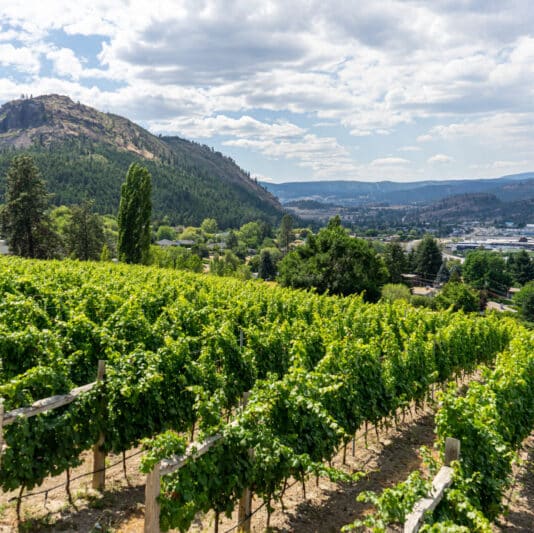 https://www.discovercanadatours.com/wp-content/uploads/2022/07/©Lisanne_Smeele_OkanaganWineTasting5-scaled-e1657146849811.jpg