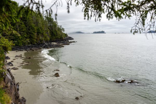 https://www.discovercanadatours.com/wp-content/uploads/2022/08/©Lisanne_Smeele_Tofino_August13th-11-600x400.jpg