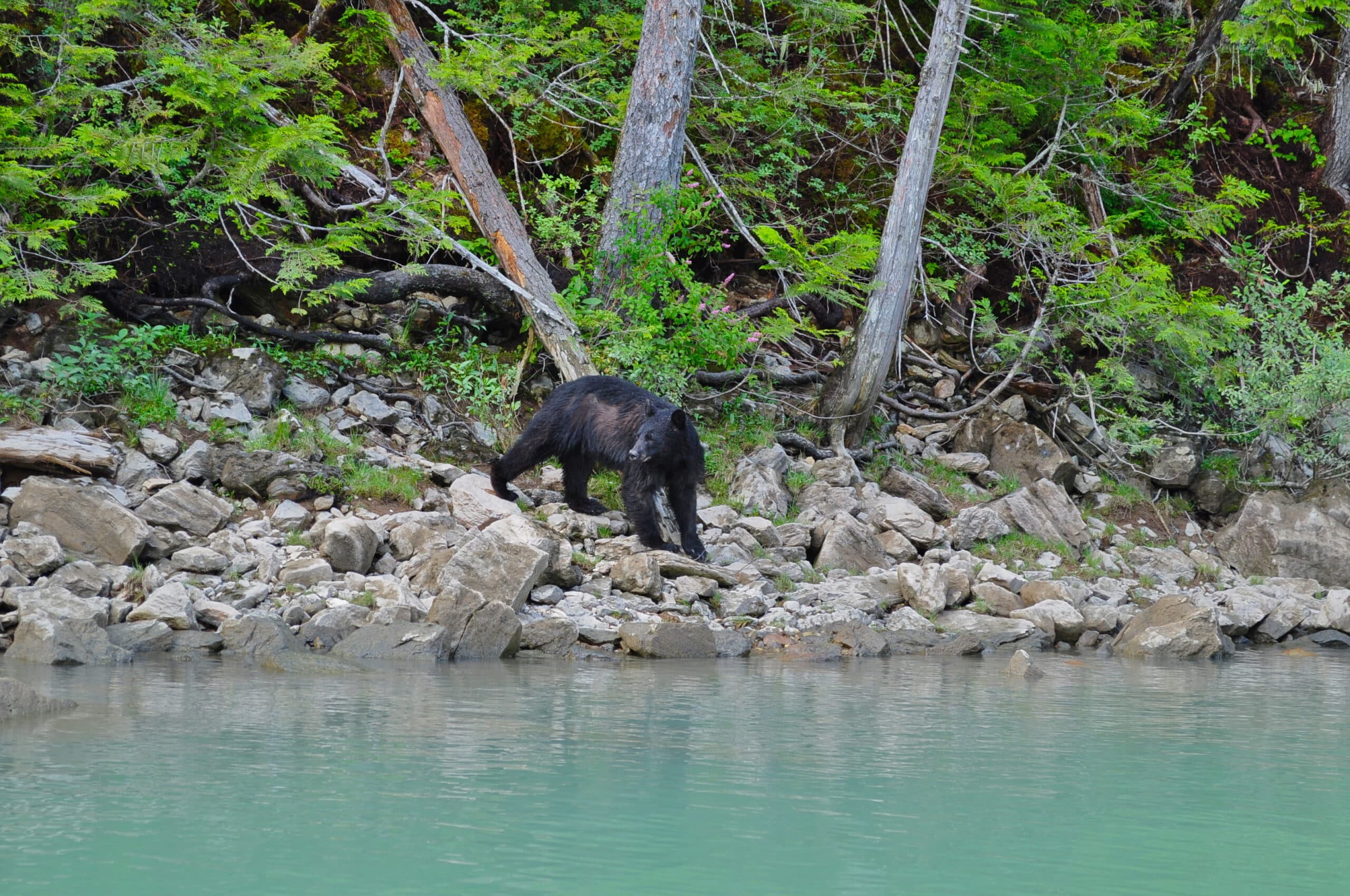 https://www.discovercanadatours.com/wp-content/uploads/2022/10/44791823651_29aa81ef32_o-scaled.jpg