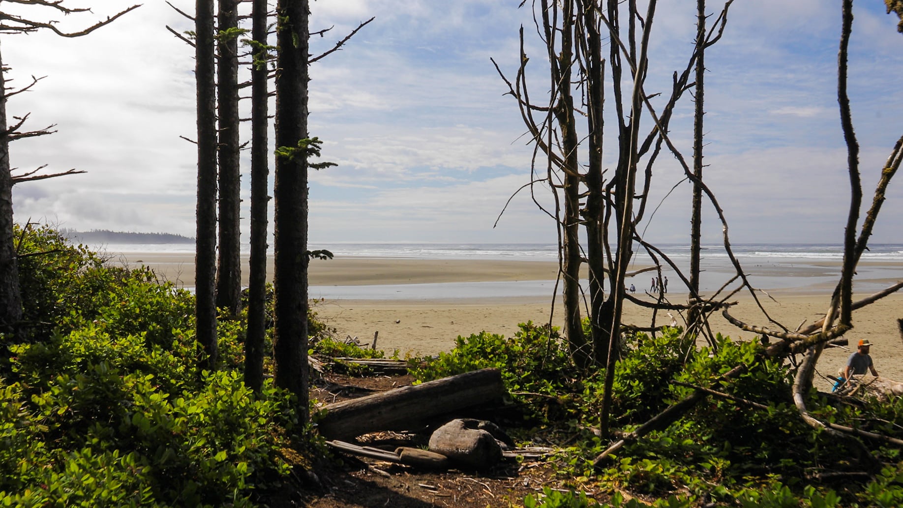 https://www.discovercanadatours.com/wp-content/uploads/2022/10/49106956143_d5f578e068_k.jpg