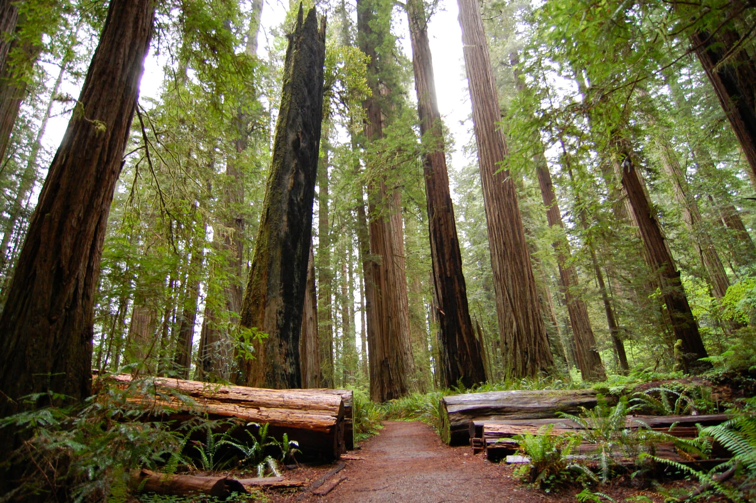 https://www.discovercanadatours.com/wp-content/uploads/2022/10/RDVTour_Tofino5-1-scaled.jpg