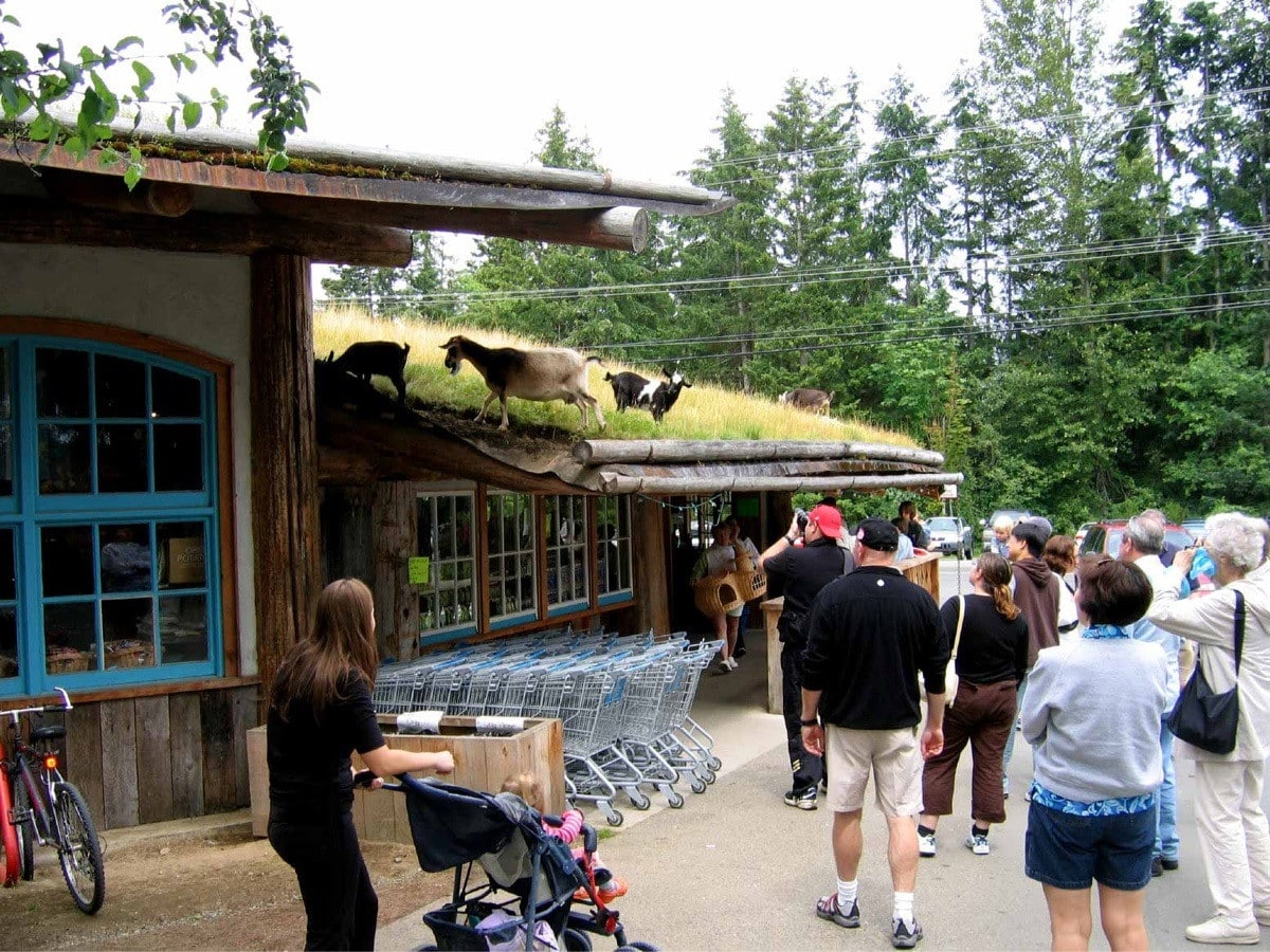 https://www.discovercanadatours.com/wp-content/uploads/2022/11/RDVTour_Tofino3.jpg