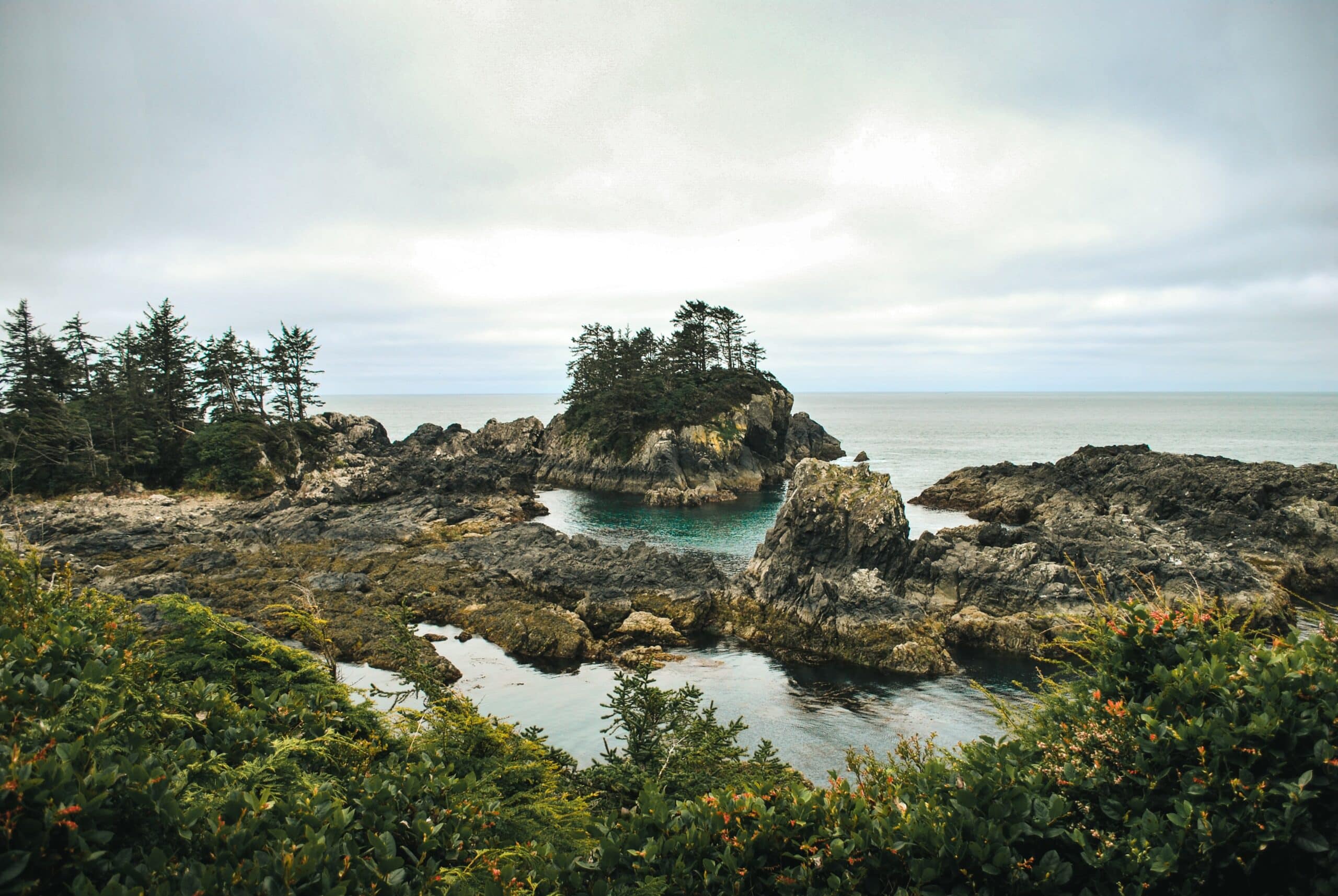 https://www.discovercanadatours.com/wp-content/uploads/2022/11/Tofino-scaled.jpg