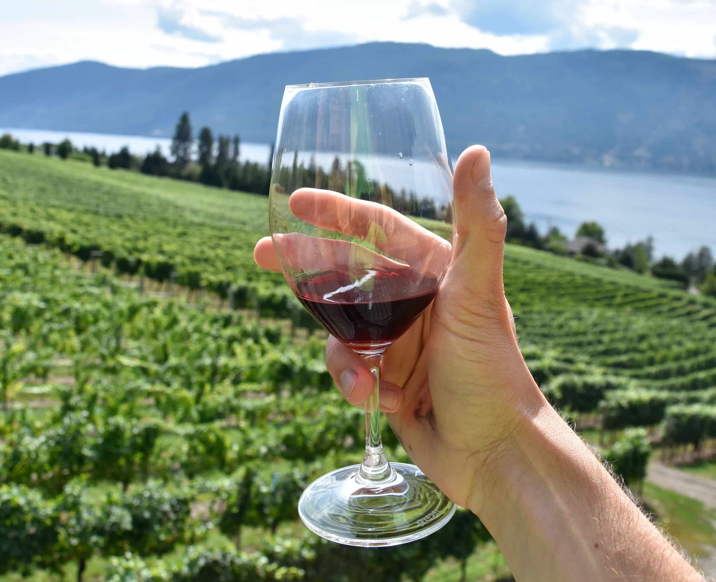 https://www.discovercanadatours.com/wp-content/uploads/2022/11/WineTasting_OkanaganValley3.jpg