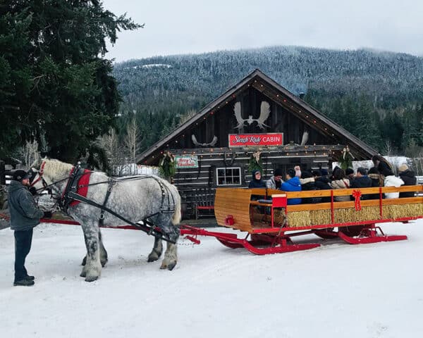 https://www.discovercanadatours.com/wp-content/uploads/2022/11/©DCT-SleighRide-RockiesWinter-600x480.jpg