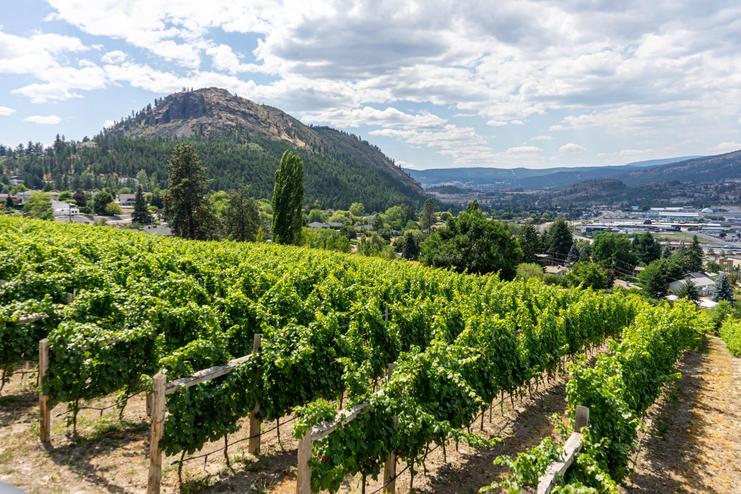 https://www.discovercanadatours.com/wp-content/uploads/2022/11/©Lisanne_Smeele_OkanaganWineTasting5-scaled.jpg