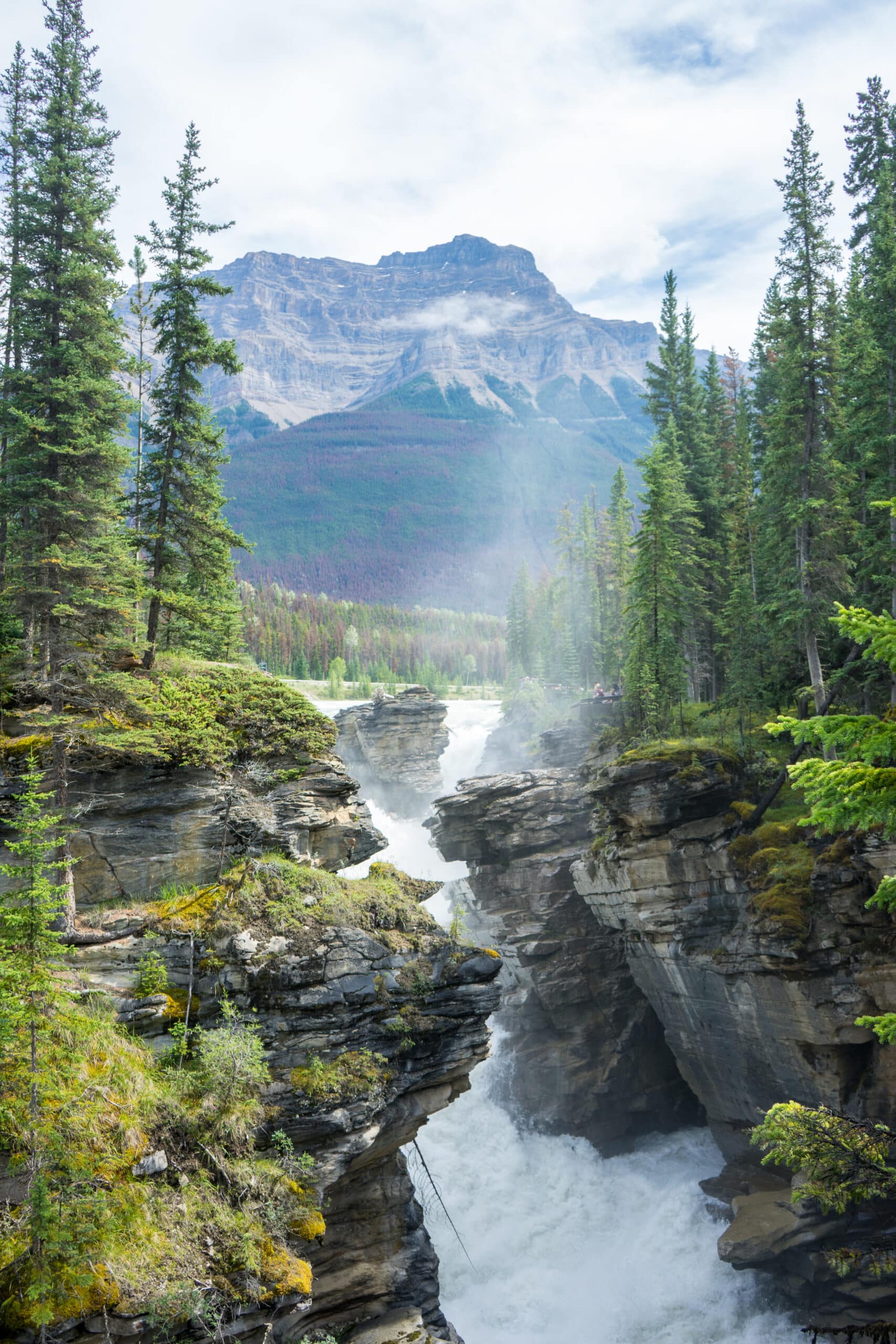 https://www.discovercanadatours.com/wp-content/uploads/2023/03/LisanneSmeele-AthabascaFalls-2-scaled.jpg