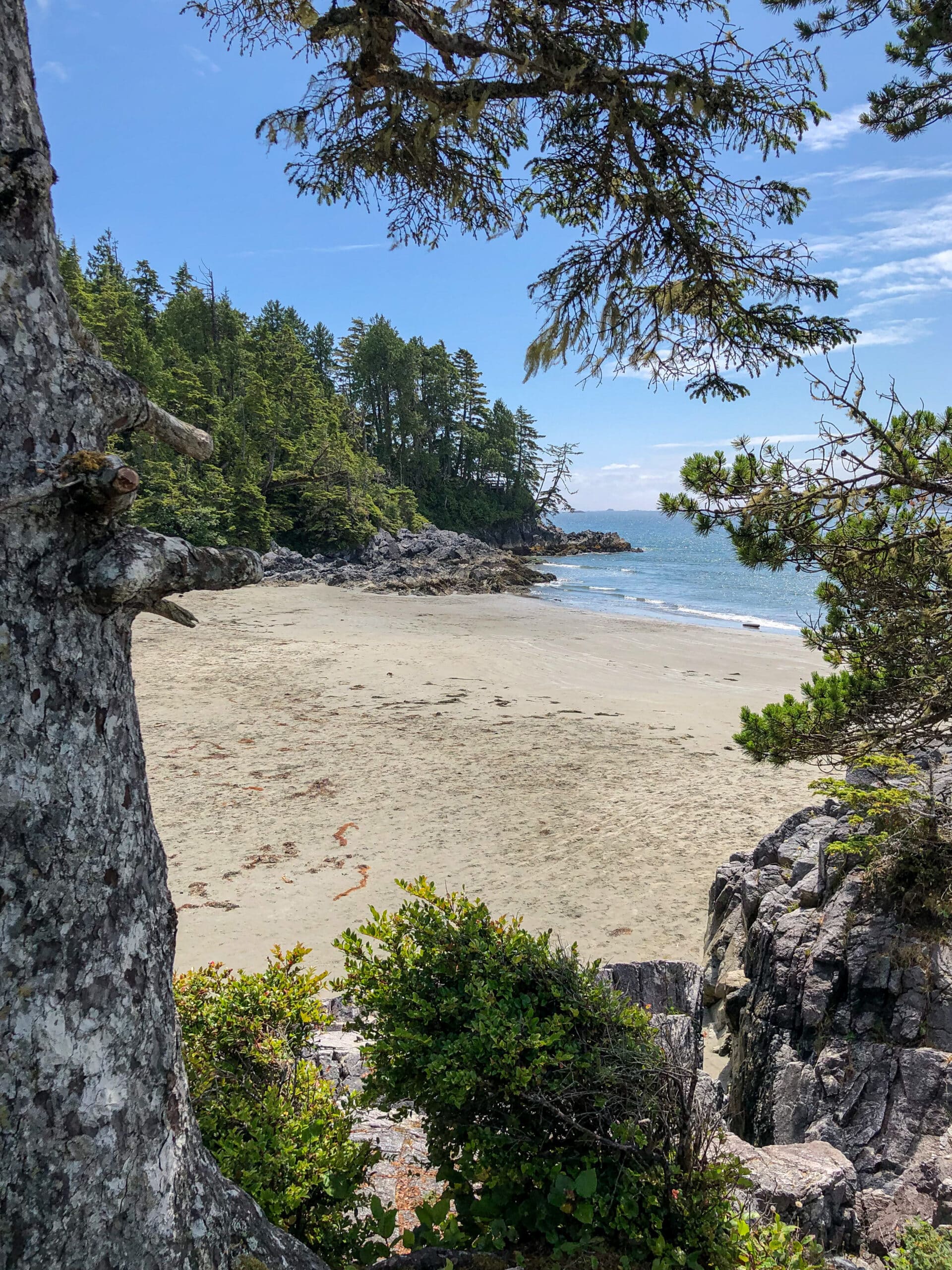 https://www.discovercanadatours.com/wp-content/uploads/2023/03/©Benjamin_Egger_Tofino-5-scaled.jpg