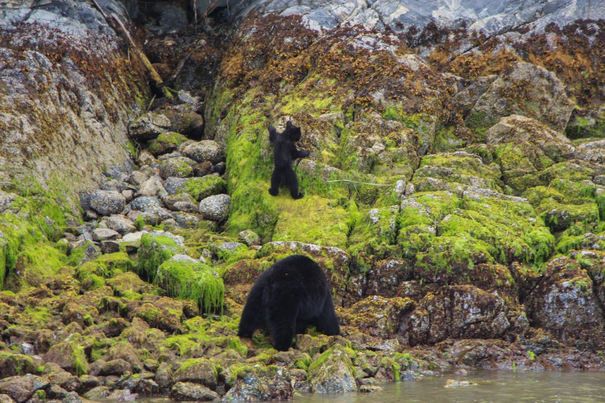 https://www.discovercanadatours.com/wp-content/uploads/2023/05/48123529722_6a70dda398_k.jpg