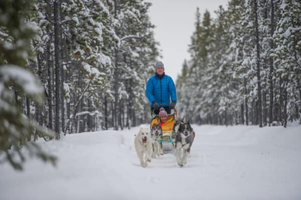 https://www.discovercanadatours.com/wp-content/uploads/2023/05/Dog-Sledding-Annie-Lake-©Yukon-Govt-Cathie-Archbould_72-600x399.jpg