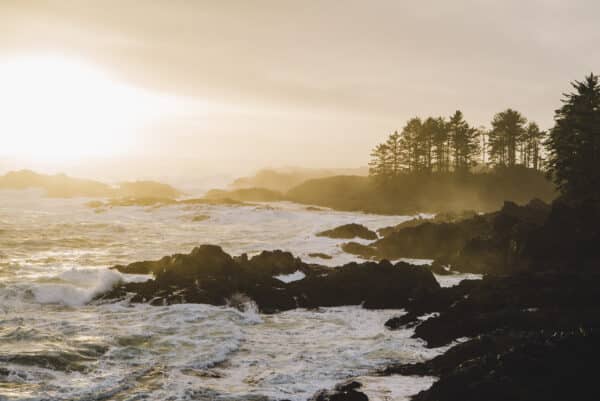 https://www.discovercanadatours.com/wp-content/uploads/2023/05/Ucluelet-Pacific-Rim-©Tourism-Vancouver-Island-Ben-Giesbrecht-600x401.jpg