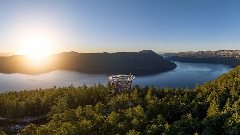 https://www.discovercanadatours.com/wp-content/uploads/2023/05/©MalahatSkyWalk-Tower.jpg