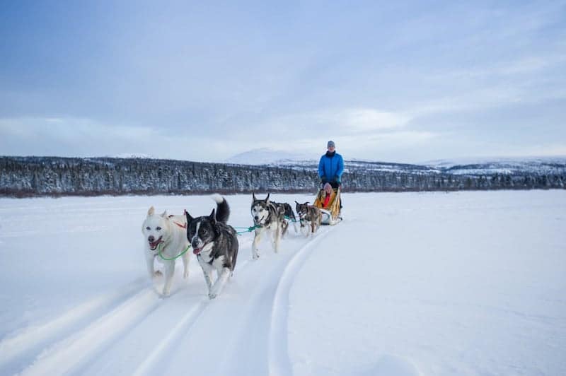 https://www.discovercanadatours.com/wp-content/uploads/2023/05/©YukonGovt-DogSledding-72.jpg