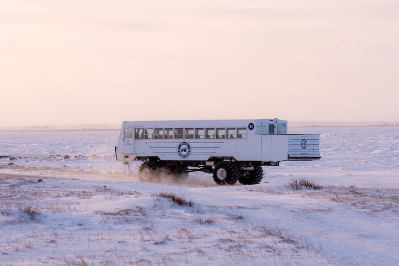 https://www.discovercanadatours.com/wp-content/uploads/2023/10/©FrontiersNorthAdventures-AbbyMatheson-TundraBuggy-Churchill.jpg