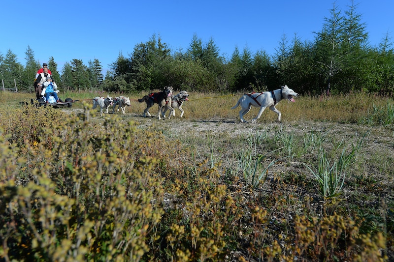 https://www.discovercanadatours.com/wp-content/uploads/2023/10/©FrontiersNorthAdventures-DanHarper-DogCarting-Churchill.jpg