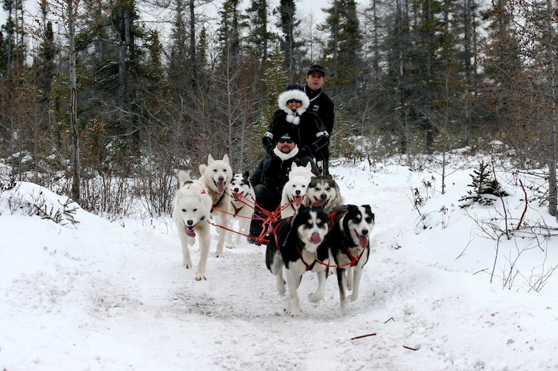 https://www.discovercanadatours.com/wp-content/uploads/2023/10/©FrontiersNorthAdventures-DogSledding-Churchill.jpg