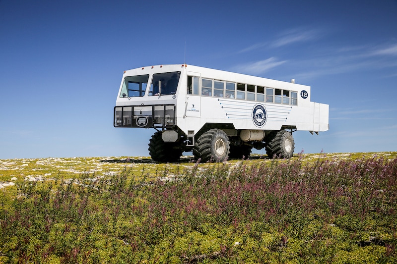 https://www.discovercanadatours.com/wp-content/uploads/2023/10/©FrontiersNorthAdventures-TundraBuggy-Churchill-1.jpg