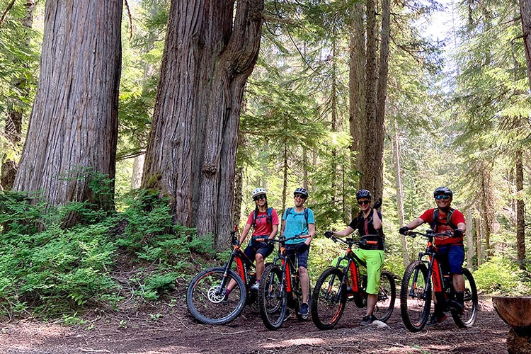 https://www.discovercanadatours.com/wp-content/uploads/2023/11/©CanadianWildernessAdventures-EBikeRental-Whistler.jpg