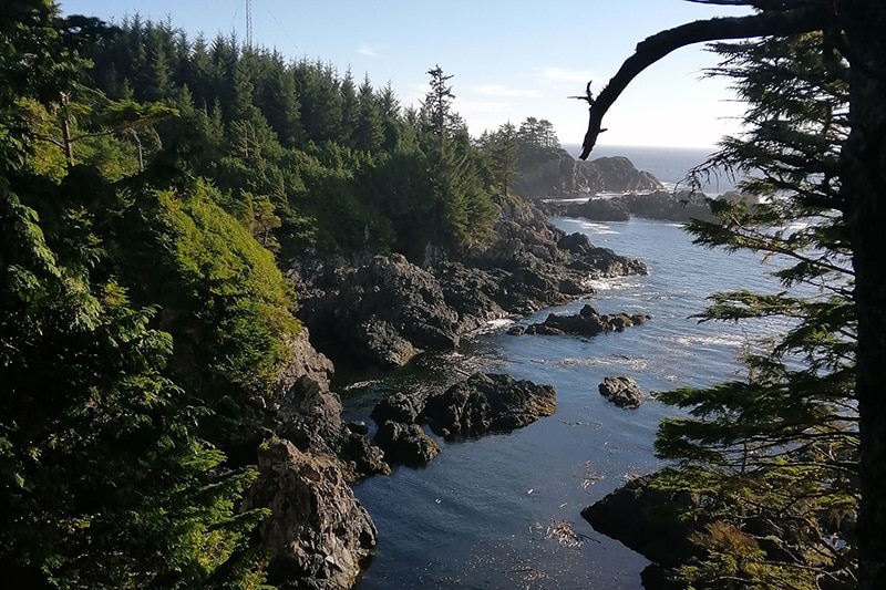 https://www.discovercanadatours.com/wp-content/uploads/2023/11/©DCT-LouiseMallard-WildPacificTrail-PacificRim.jpg