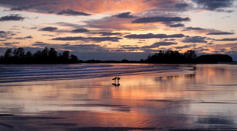 https://www.discovercanadatours.com/wp-content/uploads/2023/11/©TofinoPhotography-WayneBarnes.jpeg