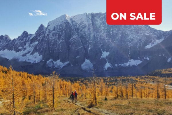 https://www.discovercanadatours.com/wp-content/uploads/2025/05/Fall-Premium-Product-Card-OnSale-Images-600x400-1-600x400.png