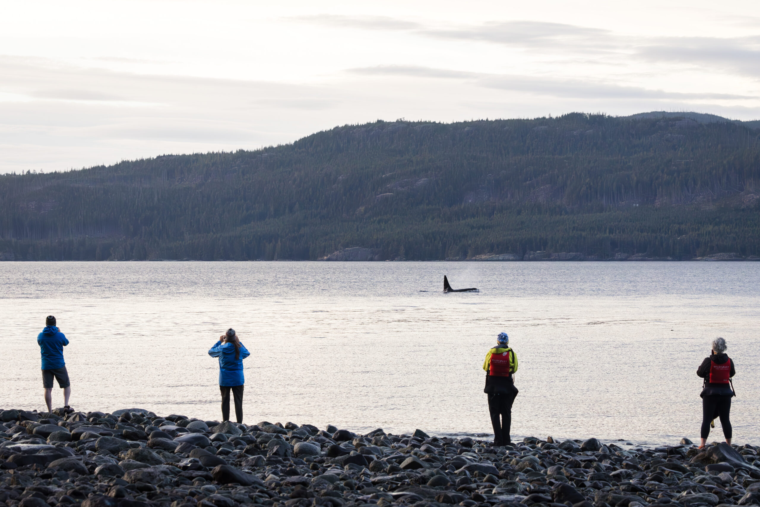 https://www.discovercanadatours.com/wp-content/uploads/2025/05/Orca-Camp-107-scaled.jpg