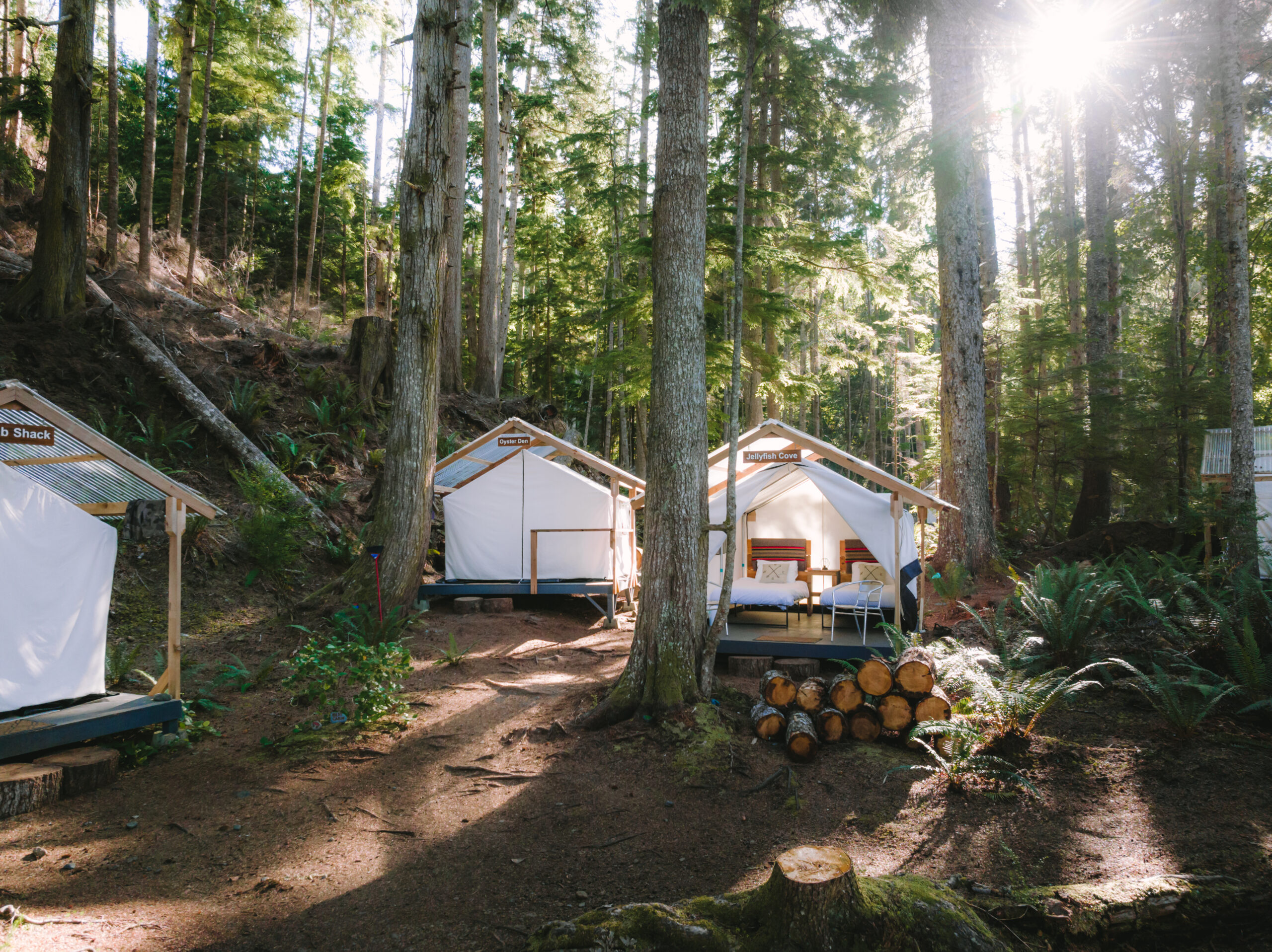 https://www.discovercanadatours.com/wp-content/uploads/2025/05/Orca-Camp-41-scaled.jpg