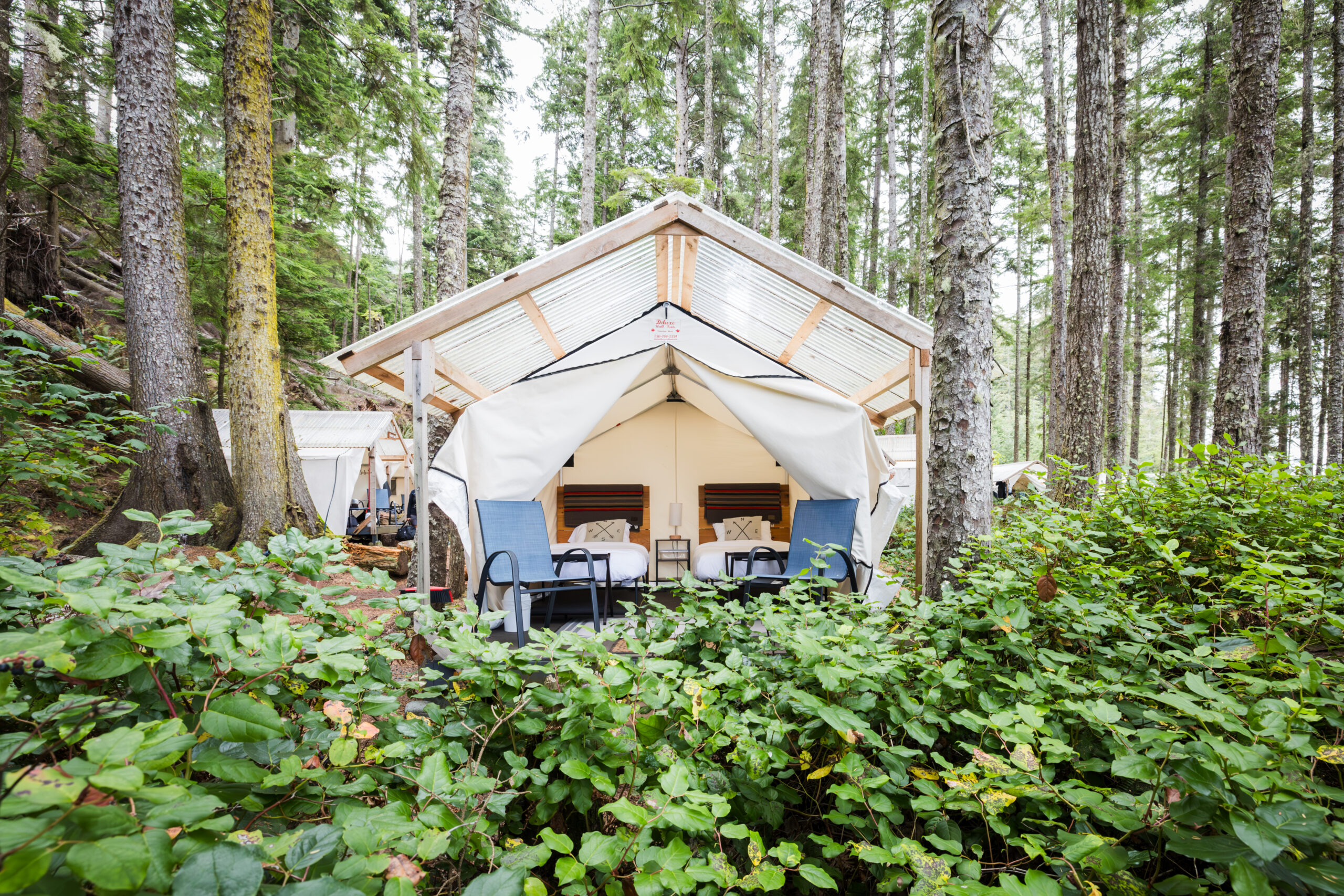 https://www.discovercanadatours.com/wp-content/uploads/2025/05/Orca-Camp-92-scaled.jpg