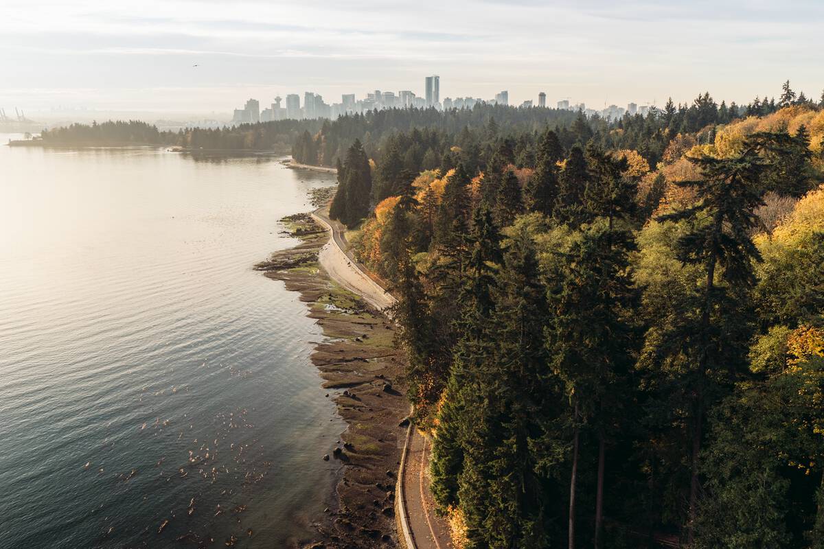 https://www.discovercanadatours.com/wp-content/uploads/2025/05/Stanley-Park-©-Destination-BCJordan-Manley.jpg