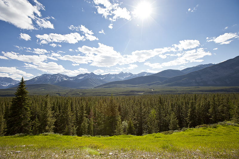 https://www.discovercanadatours.com/wp-content/uploads/2025/07/©Alberta-Parks-KananaskisCountry-HOAR-Itinerary-800x533-1.jpg