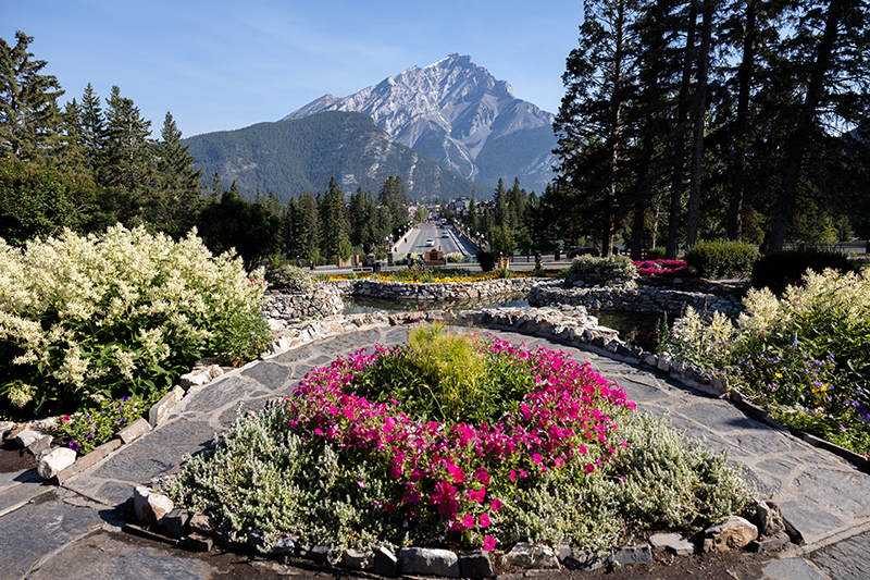 https://www.discovercanadatours.com/wp-content/uploads/2025/07/©TravelAlberta-KatieGoldie-Banff-HOAR-Carousel-1-800x533-1.jpg