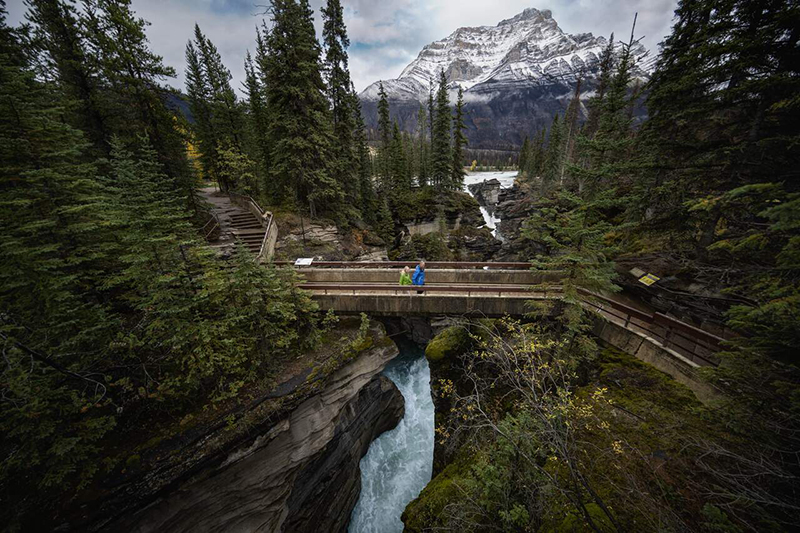 https://www.discovercanadatours.com/wp-content/uploads/2025/07/©TravelAlberta-rothramberg-AthabascaFalls-HOAR-Itinerary-800x533-1.jpg