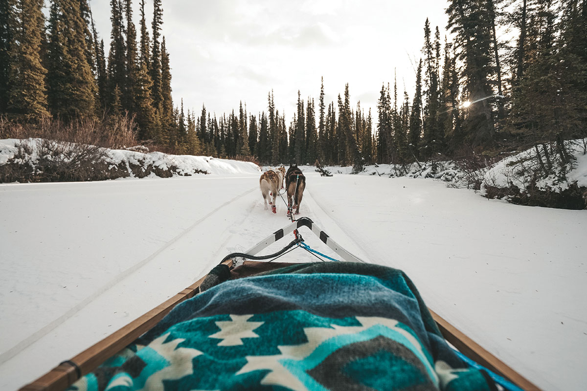 https://www.discovercanadatours.com/wp-content/uploads/2025/09/©DCT-Dani-DogMushing2-1200x800-1.jpg