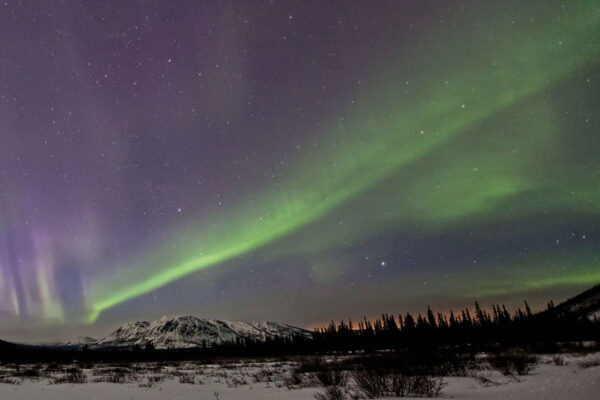 https://www.discovercanadatours.com/wp-content/uploads/2025/09/©YukonGovt-RobertPosma-NorthernLights-1200x800-1-600x400.jpg
