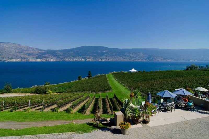 https://www.discovercanadatours.com/wp-content/uploads/2025/10/©ThompsonOkanagan-DarrenRobinson-Summerland-Winery-OVWT-800x533-1.jpg