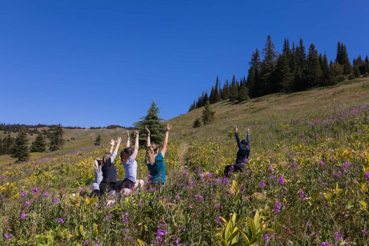 https://www.discovercanadatours.com/wp-content/uploads/2025/11/Alpine-Yoga©TourismSunPeaks.jpg