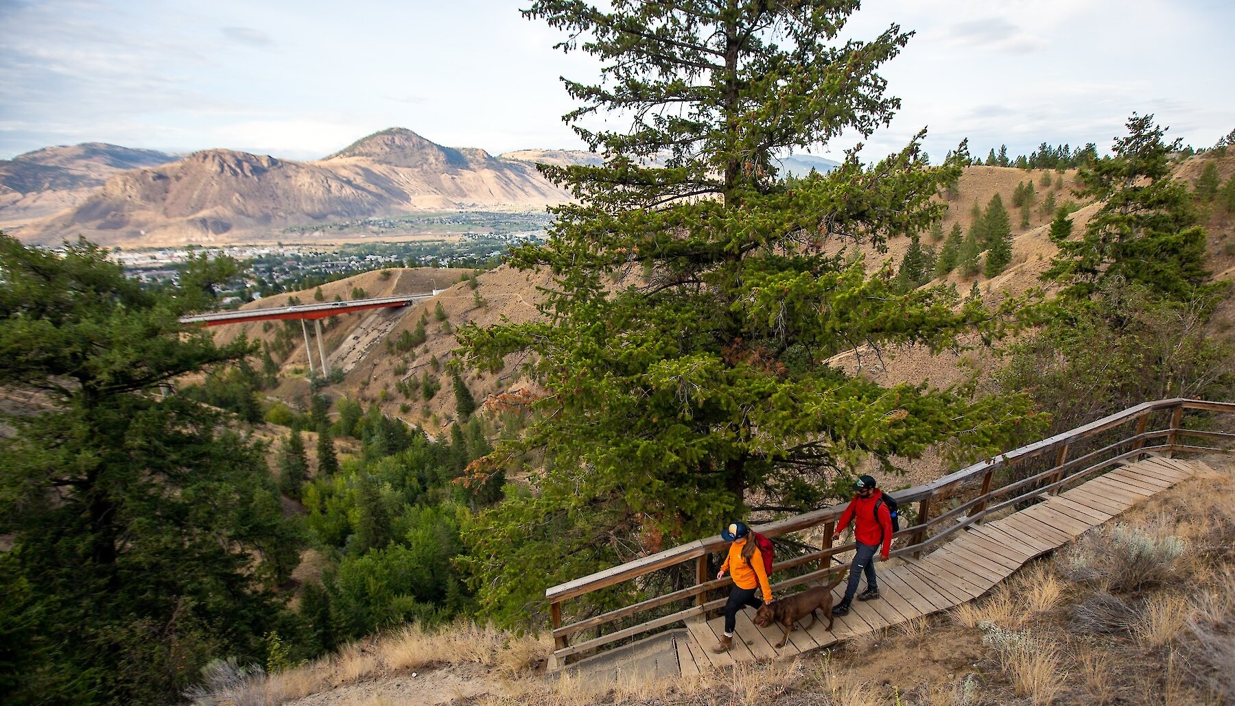 https://www.discovercanadatours.com/wp-content/uploads/2025/11/Peterson-Creek-Nature-Park_Hiking©TourismKamloops_AndrewSnucins.jpg